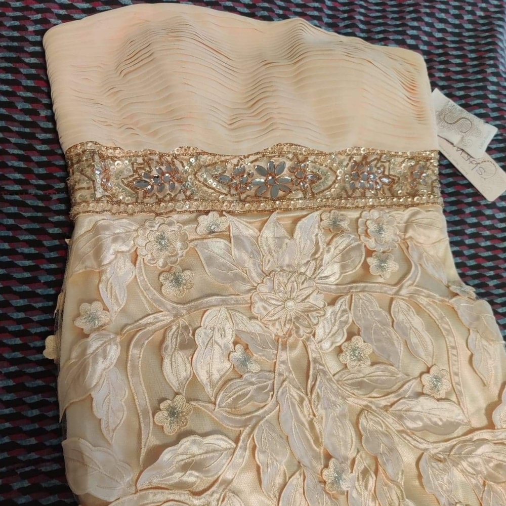 Sue Wong Gown - Picture 2 of 11